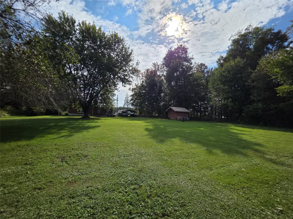 Picture 48