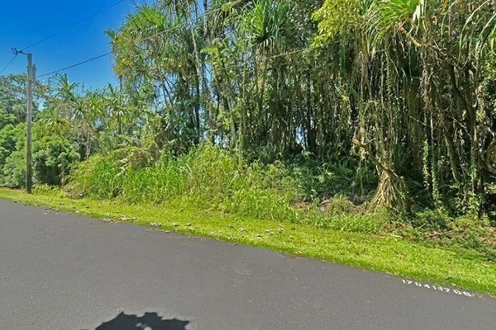 Picture 3