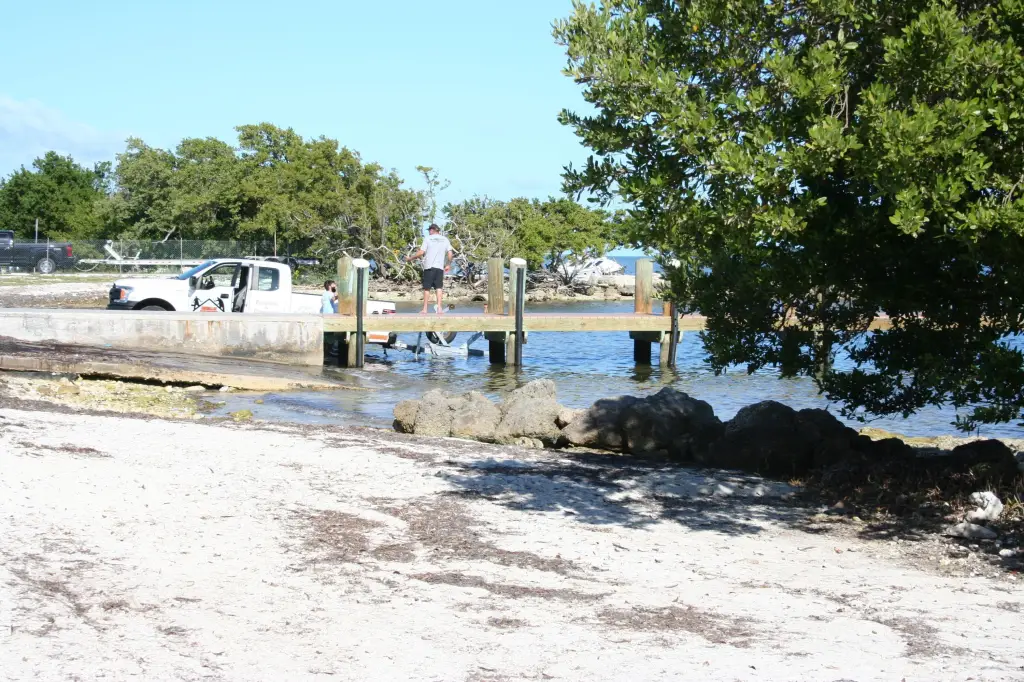 Picture 38