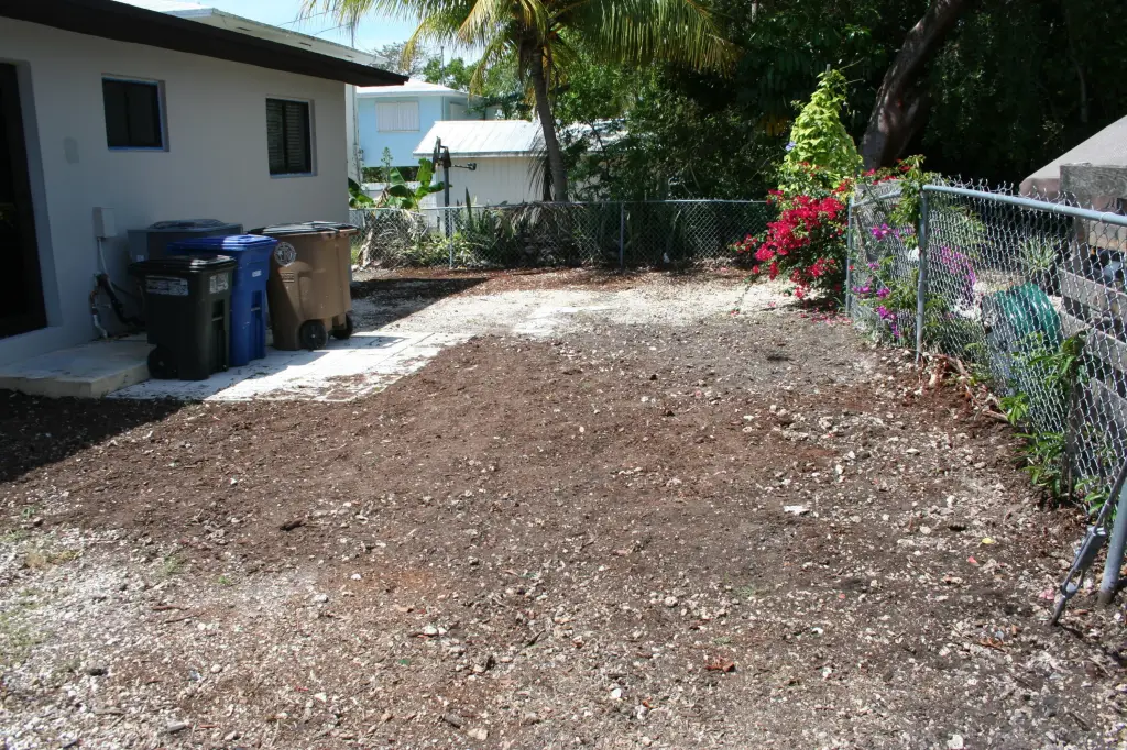Picture 4