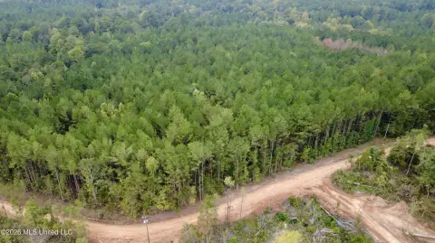 Timbered Hunting Land