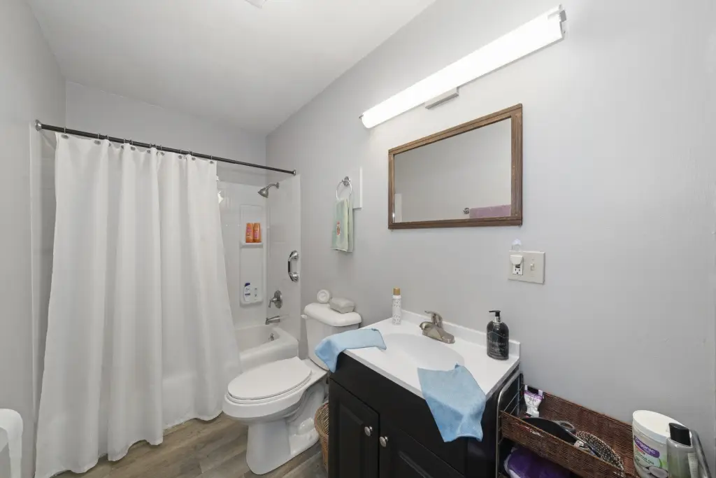 Picture 6