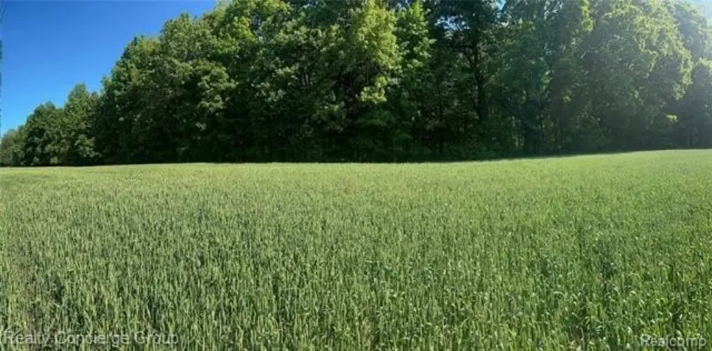 Picture 18