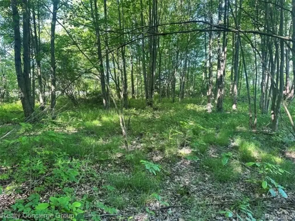 Picture 15