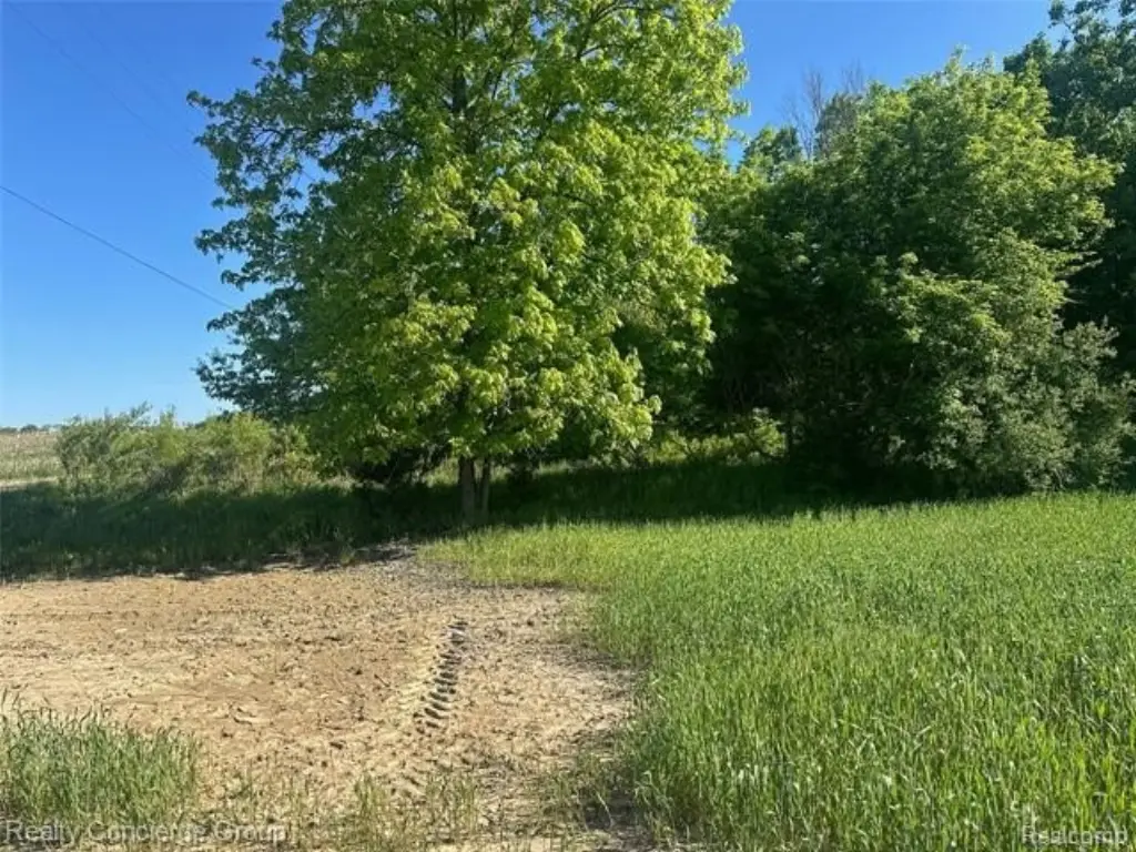 Picture 5