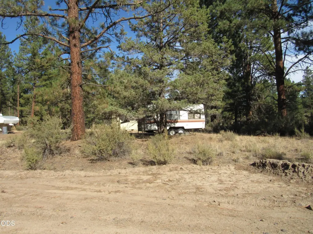 Picture 19