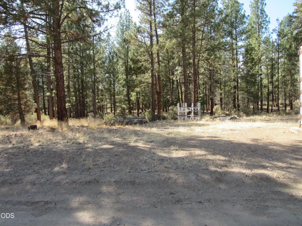 Picture 9