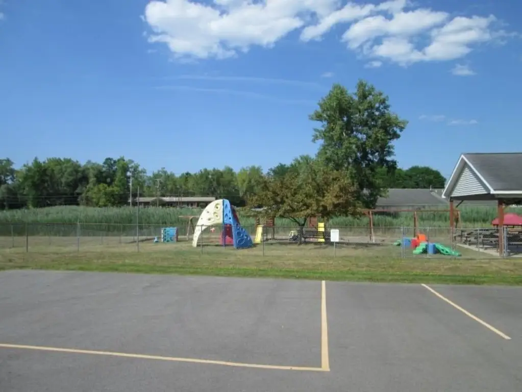 Picture 5