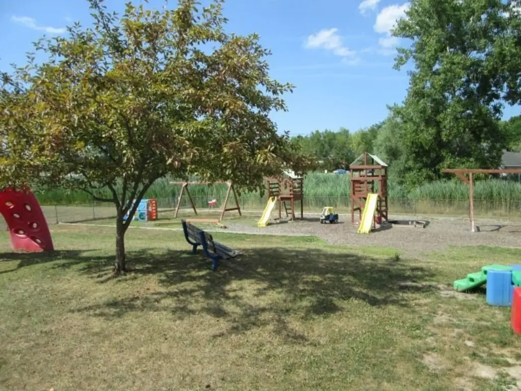 Picture 28