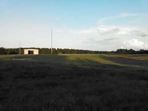 Brundidge Commercial Property For Sale