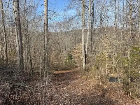 Mountain Land with Creek Access
