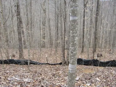 Secluded Wooded Acreage with Creek