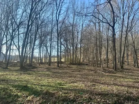 Wooded Land Tract in Livingston