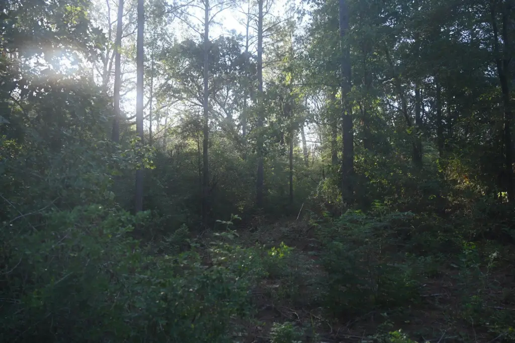 Picture 11