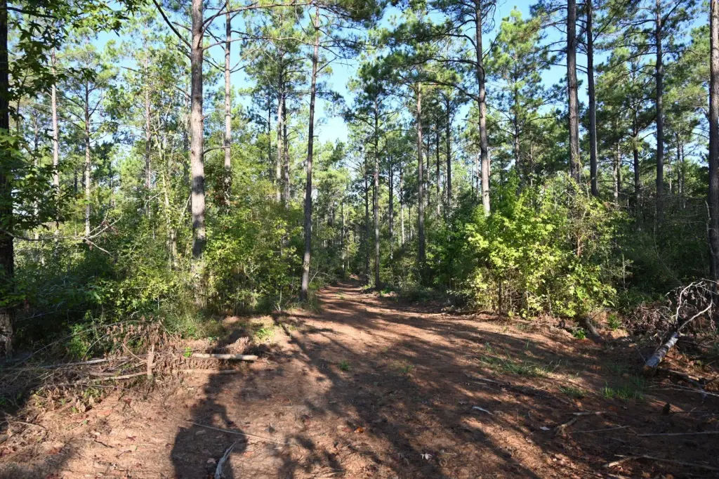 Picture 18