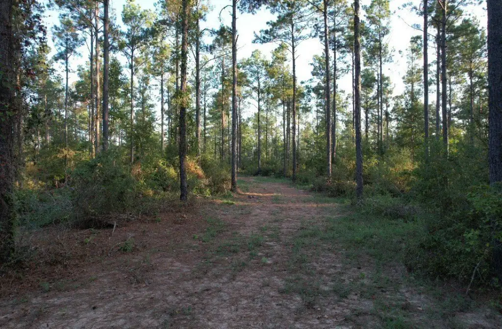 Picture 7