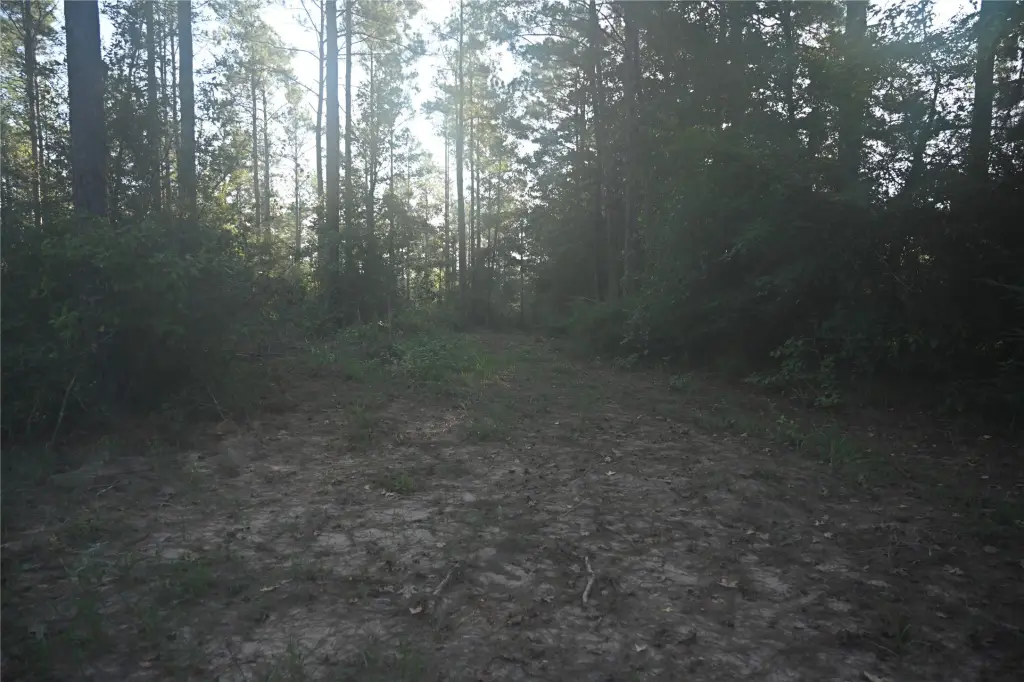 Picture 9