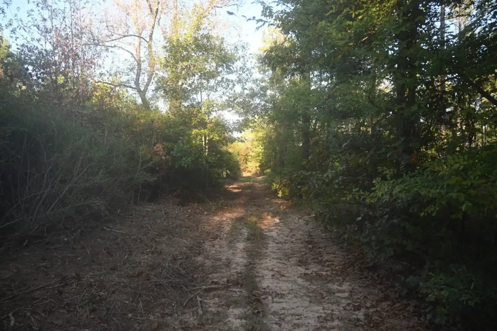 Picture 13