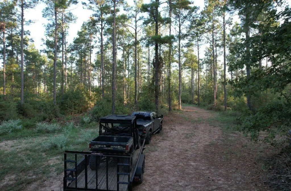 Picture 5
