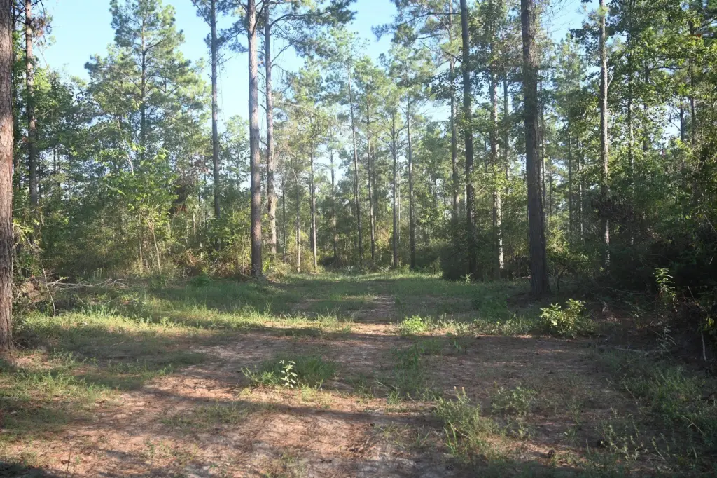 Picture 15