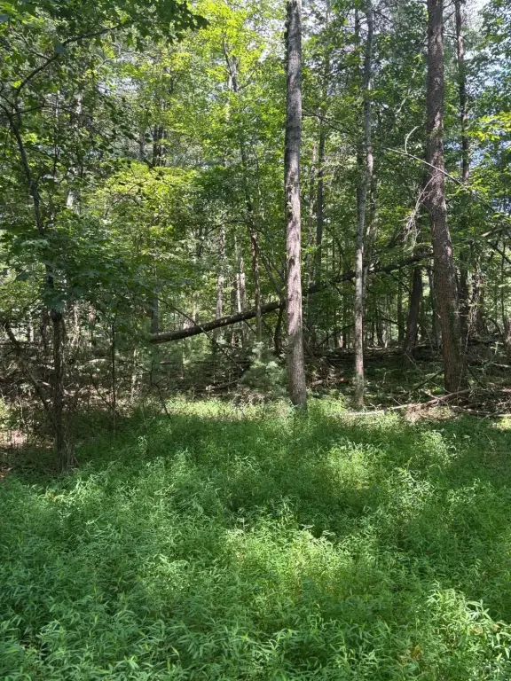 Picture 2