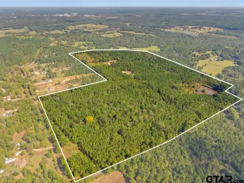 Tyler, TX Managed Timberland Acreage