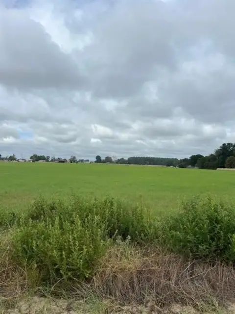 Residential Land in Lindale School
