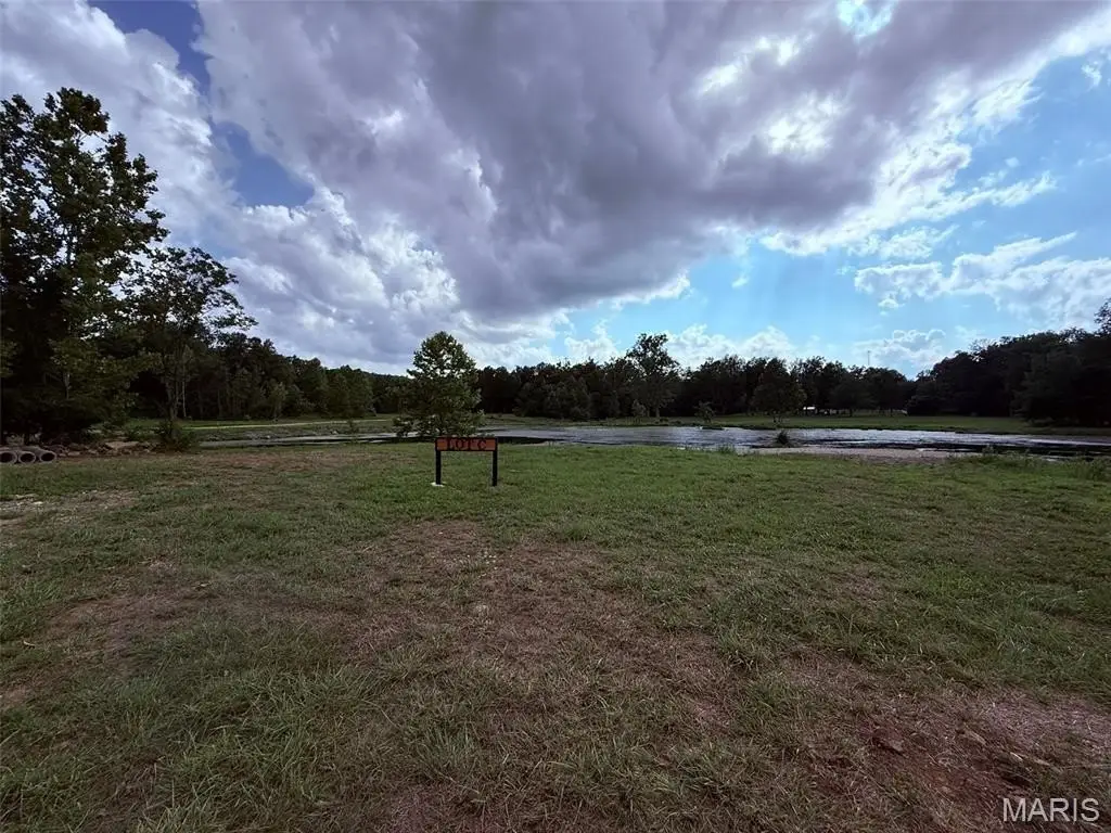 Picture 45