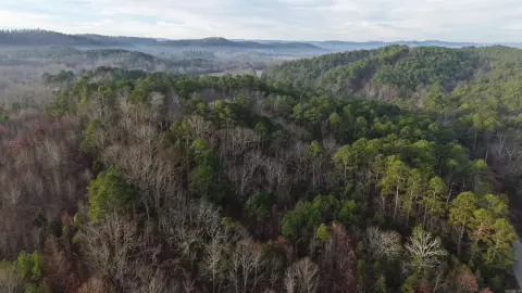 Land Near Ouachita National Forest