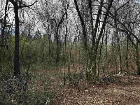 Land Near Ouachita National Forest