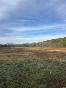 Land Near Ouachita National Forest