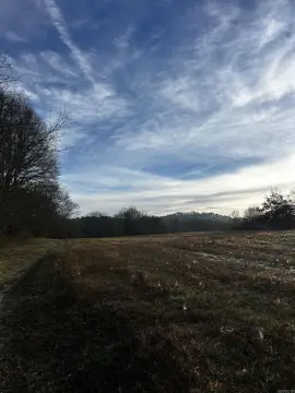 Land Near Ouachita National Forest