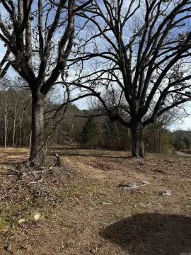 Land Near Ouachita National Forest