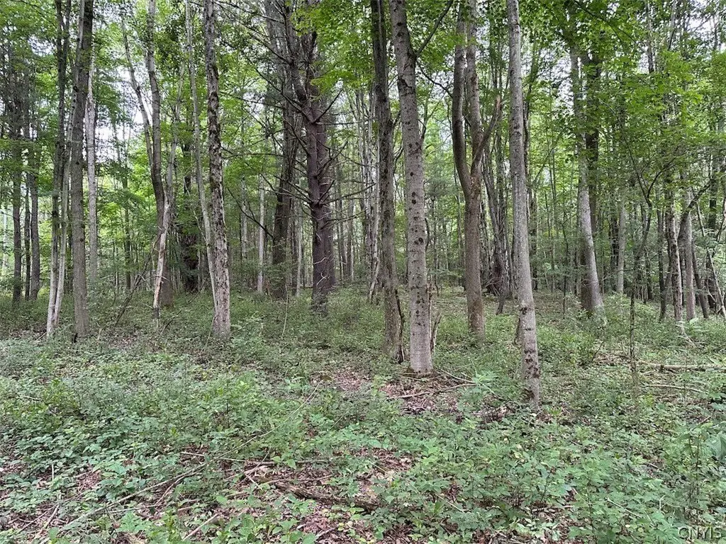 Picture 14