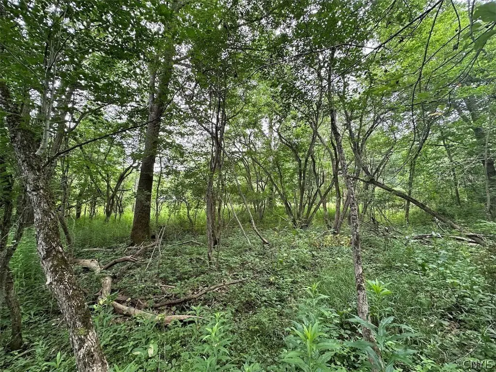 Picture 5