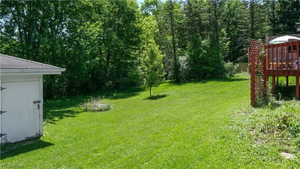 Picture 18