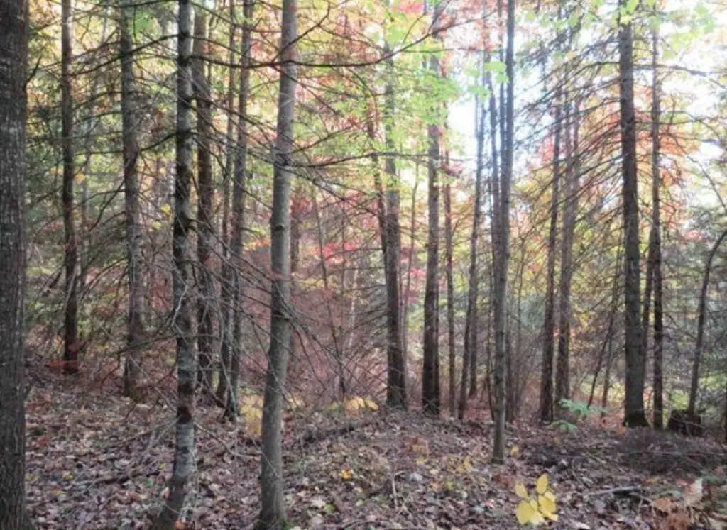 Picture 6