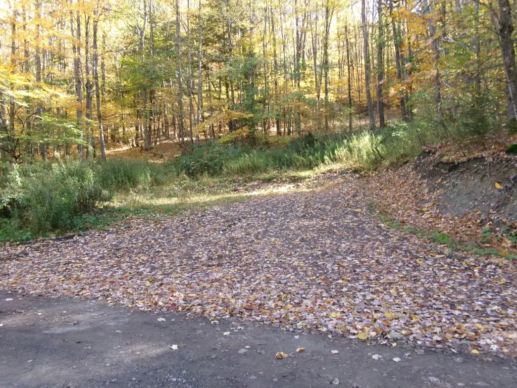 Picture 2
