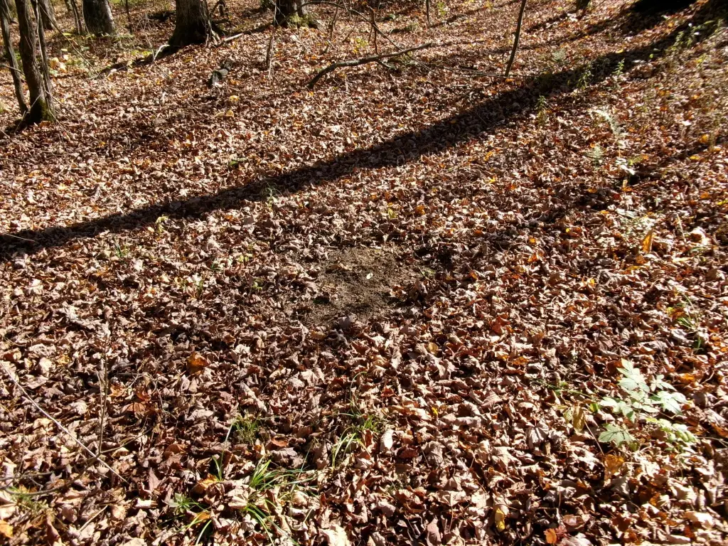 Picture 6