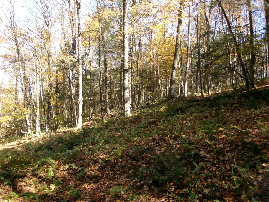 Picture 15
