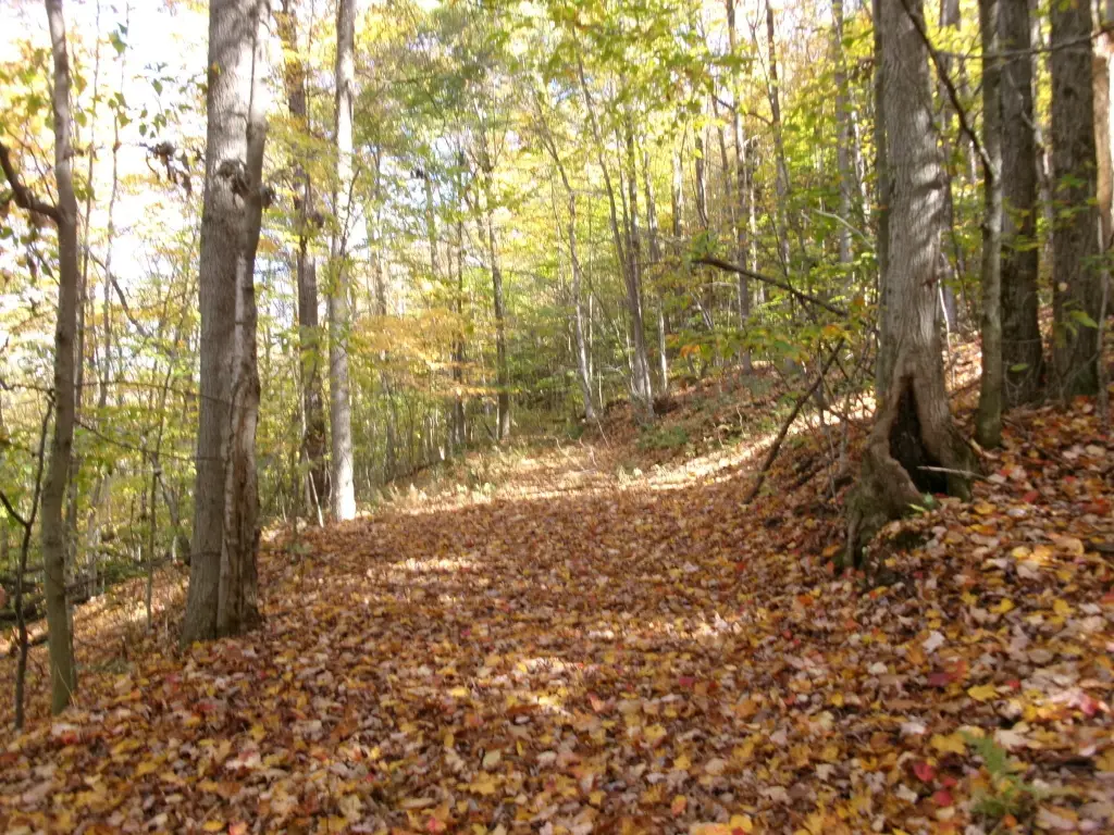 Picture 8