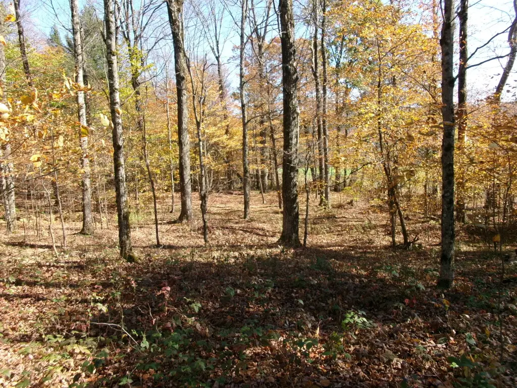 Picture 29