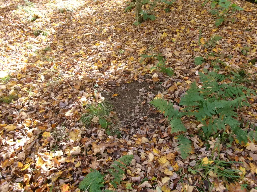 Picture 30