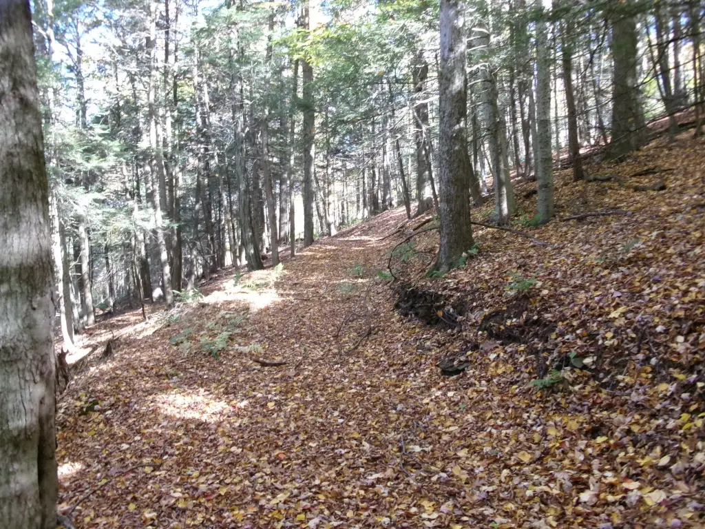 Picture 18