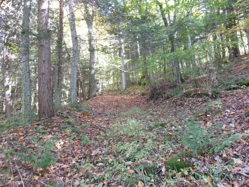 Picture 13