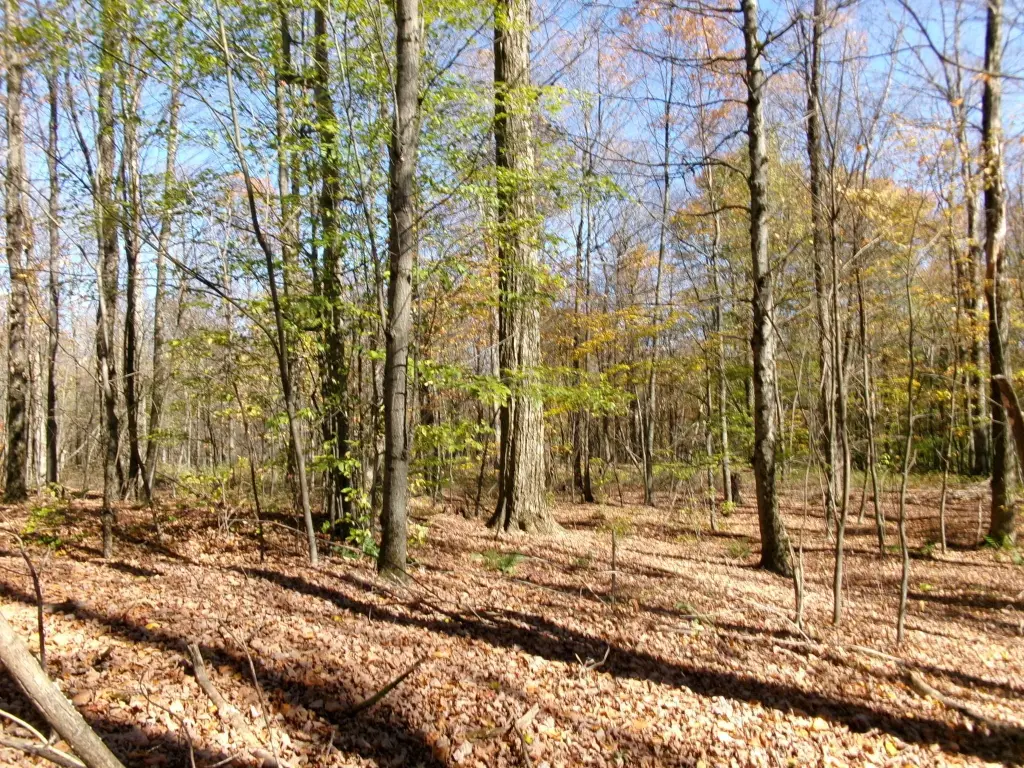 Picture 16