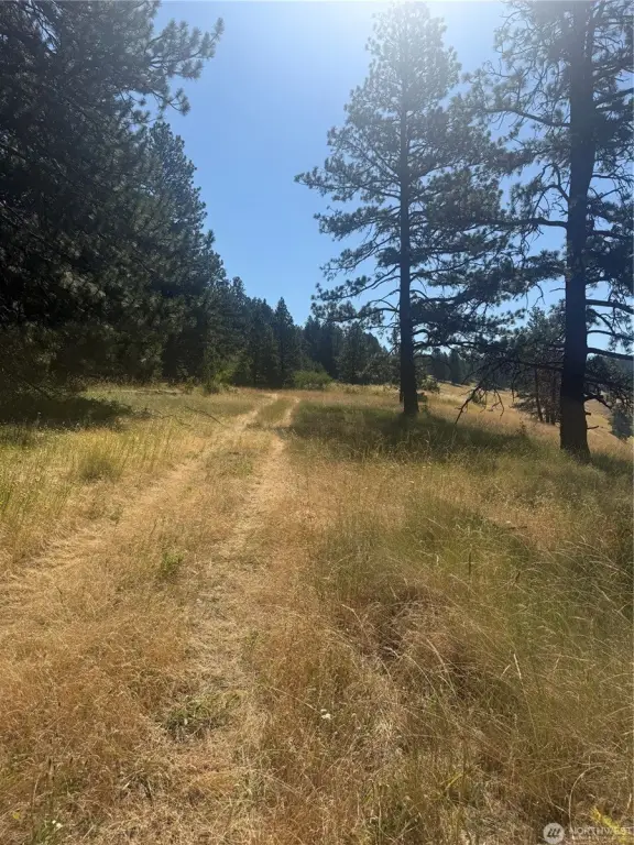 Picture 21