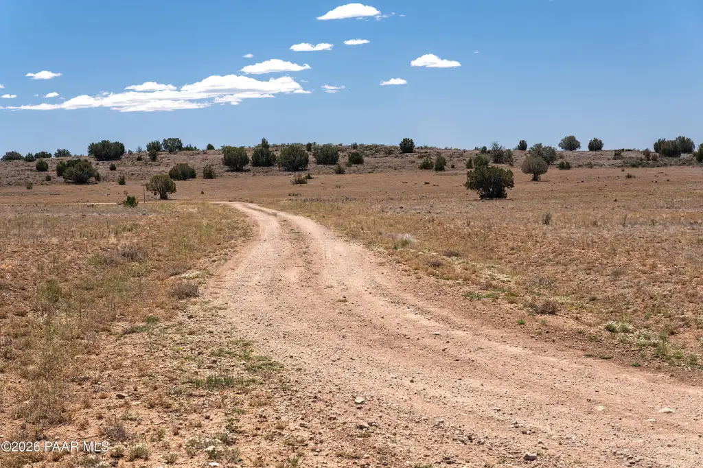 Picture 23