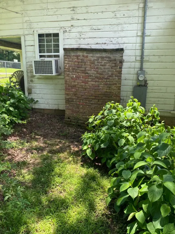 Picture 21