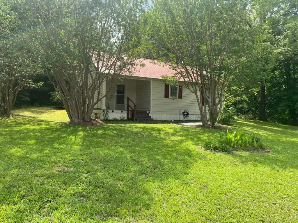 Picture 12